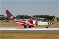 Sandro Magalhes -  www.portugalspotters.org. Click to see full size photo