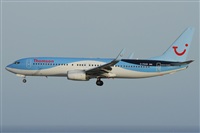 Alfonso Sols - Asociacin Canary Islands Spotting. Click to see full size photo