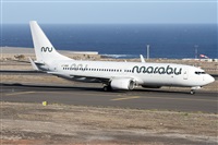 Alfonso Sols - Asociacin Canary Islands Spotting. Haz click para ampliar