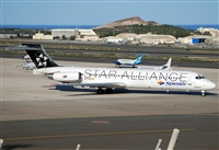 Alejandro H.L - Gran Canaria Spotters. Click to see full size photo