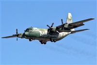 Adolfo Bento - Gran Canaria Spotters. Click to see full size photo