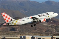 Alfonso Sols - Asociacin Canary Islands Spotting. Click to see full size photo