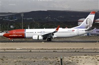 Javier de la Cruz - CANARY ISLANDS SPOTTING. Click to see full size photo