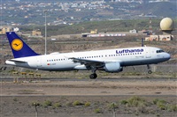 Miguel A. gueda Rguez.  (CANARY ISLANDS SPOTTING). Click to see full size photo