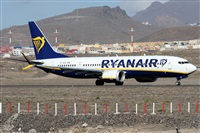 Alfonso Sols - Asociacin Canary Islands Spotting. Click to see full size photo