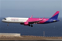 Alfonso Sols - Asociacin Canary Islands Spotting. Click to see full size photo