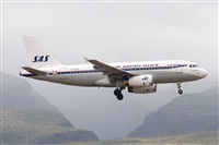 Adolfo Bento - Gran Canaria Spotters. Click to see full size photo