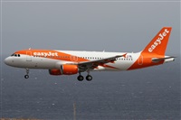 Alfonso Sols - Asociacin Canary Islands Spotting. Click to see full size photo