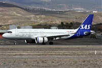 Alfonso Sols - Asociacin Canary Islands Spotting. Click to see full size photo