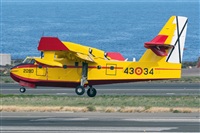 Adolfo Bento - Gran Canaria Spotters. Click to see full size photo