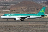 Alfonso Sols - Asociacin Canary Islands Spotting. Click to see full size photo