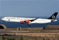 Alejandro H.L - Gran Canaria Spotters. Click to see full size photo