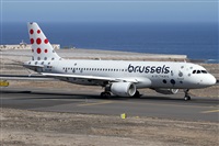 Alfonso Sols - Asociacin Canary Islands Spotting. Haz click para ampliar