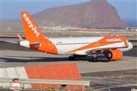 Miguel A. gueda Rguez.  (CANARY ISLANDS SPOTTING). Click to see full size photo