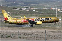 Alfonso Sols - Asociacin Canary Islands Spotting. Click to see full size photo