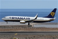 Alfonso Sols - Asociacin Canary Islands Spotting. Click to see full size photo