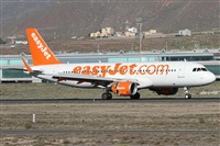 Alfonso Sols - Asociacin Canary Islands Spotting. Click to see full size photo