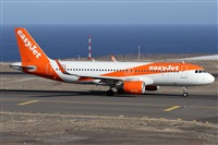 Alfonso Sols - Asociacin Canary Islands Spotting. Click to see full size photo