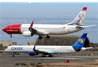 Alejandro H.L - Gran Canaria Spotters. Click to see full size photo