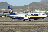 Alfonso Sols - Asociacin Canary Islands Spotting. Click to see full size photo