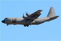 Alejandro H.L - Gran Canaria Spotters. Click to see full size photo