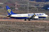 Miguel A. gueda Rguez.  (CANARY ISLANDS SPOTTING). Click to see full size photo