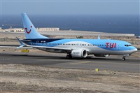 Alfonso Sols - Asociacin Canary Islands Spotting. Click to see full size photo