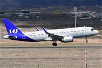 Miguel A. gueda Rguez.  (CANARY ISLANDS SPOTTING). Click to see full size photo