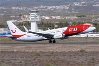 Miguel A. gueda Rguez.  (CANARY ISLANDS SPOTTING). Click to see full size photo