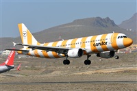 Miguel A. gueda Rguez.  (CANARY ISLANDS SPOTTING). Click to see full size photo