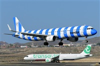 Miguel A. gueda Rguez.  (CANARY ISLANDS SPOTTING). Click to see full size photo