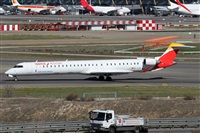 Alfonso Sols - Asociacin Canary Islands Spotting. Click to see full size photo