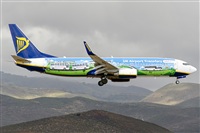 Paco Muoz Arencibia - Gran Canaria Spotters. Click to see full size photo