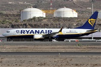 Alfonso Sols - Asociacin Canary Islands Spotting. Click to see full size photo