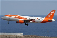 Alfonso Sols - Asociacin Canary Islands Spotting. Click to see full size photo