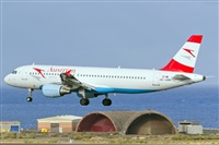 Adolfo Bento - Gran Canaria Spotters. Click to see full size photo