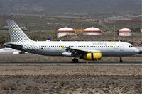 Alfonso Sols - Asociacin Canary Islands Spotting. Click to see full size photo