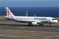 Alfonso Sols - Asociacin Canary Islands Spotting. Click to see full size photo