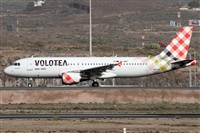 Alfonso Sols - Asociacin Canary Islands Spotting. Click to see full size photo