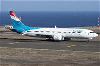 Alfonso Sols - Asociacin Canary Islands Spotting. Click to see full size photo