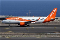 Alfonso Sols - Asociacin Canary Islands Spotting. Click to see full size photo