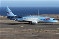 Alfonso Sols - Asociacin Canary Islands Spotting. Click to see full size photo