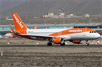 Alfonso Sols - Asociacin Canary Islands Spotting. Click to see full size photo