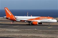 Alfonso Sols - Asociacin Canary Islands Spotting. Click to see full size photo