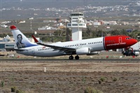 Alfonso Sols - Asociacin Canary Islands Spotting. Haz click para ampliar