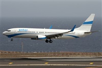 Alfonso Sols - Asociacin Canary Islands Spotting. Click to see full size photo