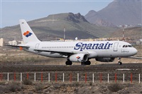 Alfonso Sols - Asociacin Canary Islands Spotting. Click to see full size photo