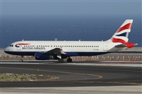 Alfonso Sols - Asociacin Canary Islands Spotting. Click to see full size photo