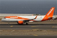 Alfonso Sols - Asociacin Canary Islands Spotting. Click to see full size photo