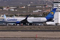 Alfonso Sols - Asociacin Canary Islands Spotting. Click to see full size photo